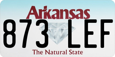 AR license plate 873LEF