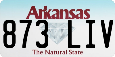 AR license plate 873LIV