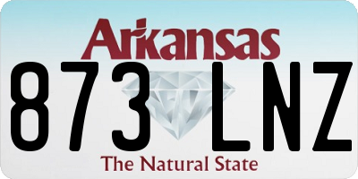 AR license plate 873LNZ