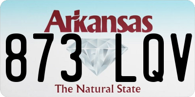 AR license plate 873LQV