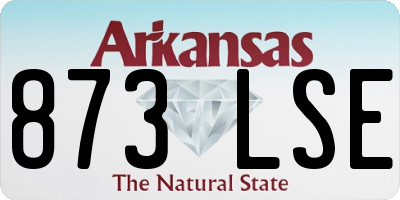 AR license plate 873LSE