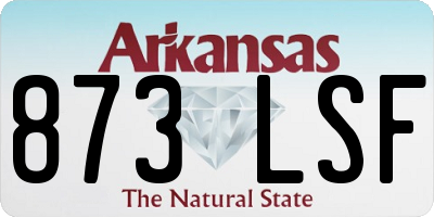 AR license plate 873LSF