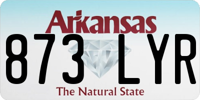 AR license plate 873LYR