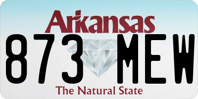 AR license plate 873MEW