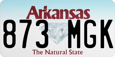 AR license plate 873MGK