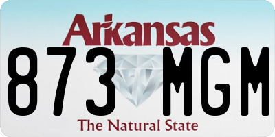 AR license plate 873MGM