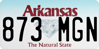 AR license plate 873MGN