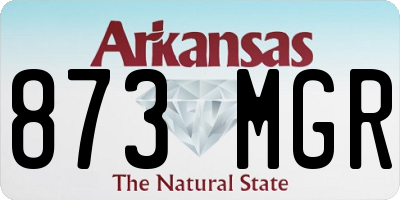 AR license plate 873MGR