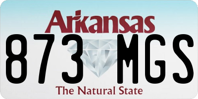 AR license plate 873MGS