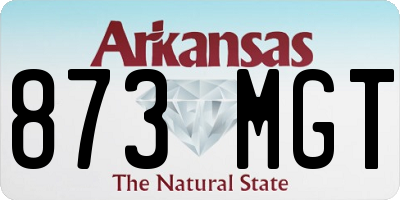 AR license plate 873MGT
