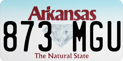 AR license plate 873MGU