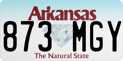 AR license plate 873MGY
