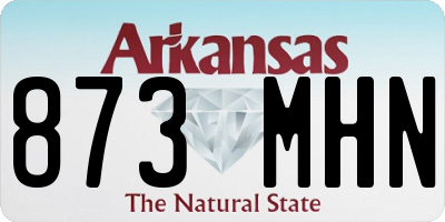 AR license plate 873MHN