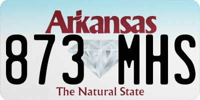 AR license plate 873MHS
