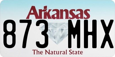 AR license plate 873MHX