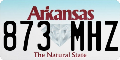 AR license plate 873MHZ