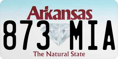 AR license plate 873MIA