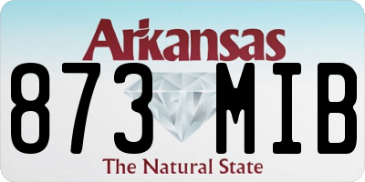 AR license plate 873MIB