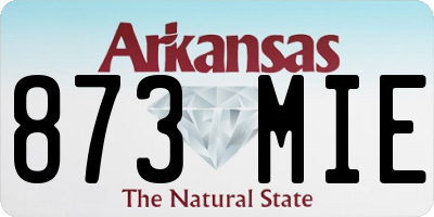 AR license plate 873MIE