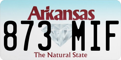 AR license plate 873MIF