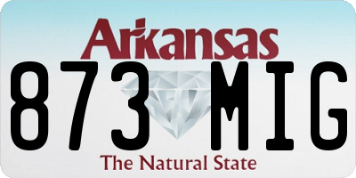 AR license plate 873MIG
