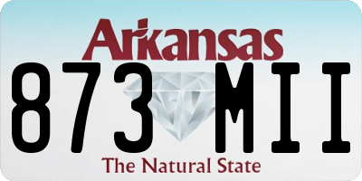 AR license plate 873MII