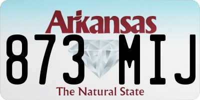 AR license plate 873MIJ