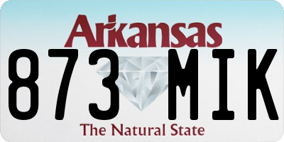 AR license plate 873MIK