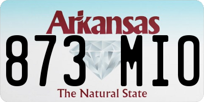 AR license plate 873MIO
