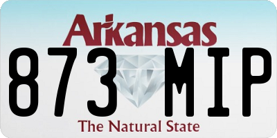 AR license plate 873MIP