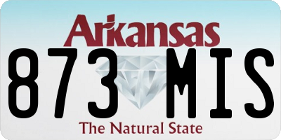 AR license plate 873MIS