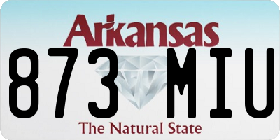 AR license plate 873MIU