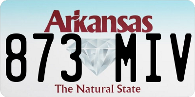 AR license plate 873MIV