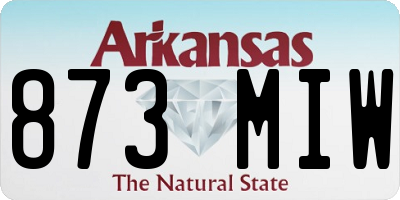 AR license plate 873MIW