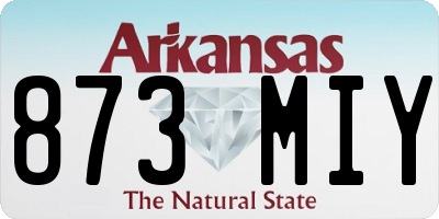 AR license plate 873MIY