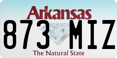 AR license plate 873MIZ
