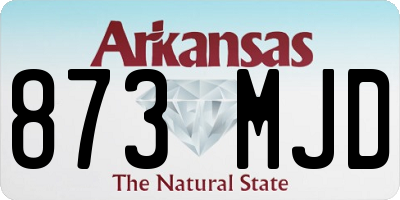 AR license plate 873MJD