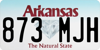 AR license plate 873MJH