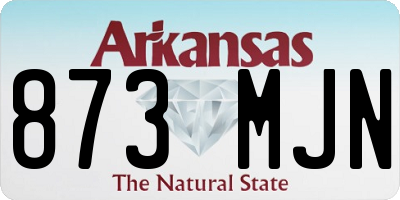 AR license plate 873MJN