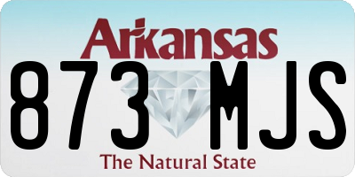 AR license plate 873MJS