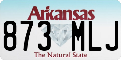 AR license plate 873MLJ
