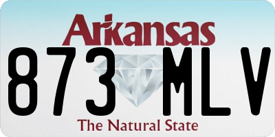 AR license plate 873MLV