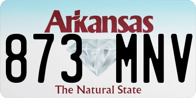 AR license plate 873MNV