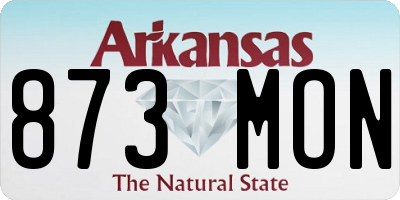 AR license plate 873MON
