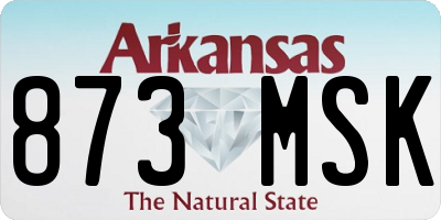AR license plate 873MSK