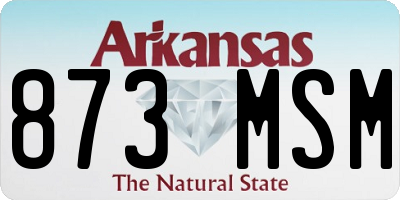 AR license plate 873MSM