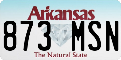 AR license plate 873MSN