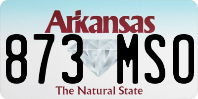 AR license plate 873MSO