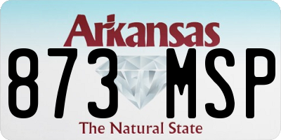 AR license plate 873MSP