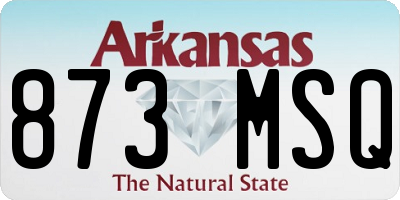 AR license plate 873MSQ